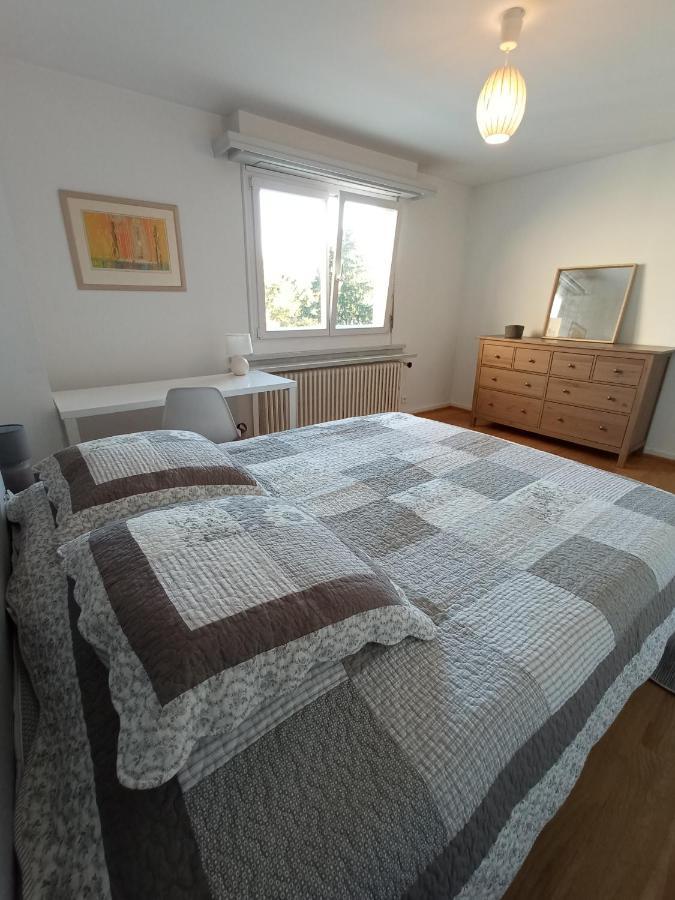 Rare A Colmar - Appartement Champ De Mars Vue Sur Parc - 70M2 - 2 Chambres מראה חיצוני תמונה