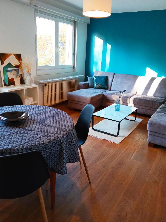 Rare A Colmar - Appartement Champ De Mars Vue Sur Parc - 70M2 - 2 Chambres מראה חיצוני תמונה