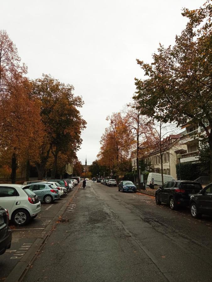 Rare A Colmar - Appartement Champ De Mars Vue Sur Parc - 70M2 - 2 Chambres מראה חיצוני תמונה