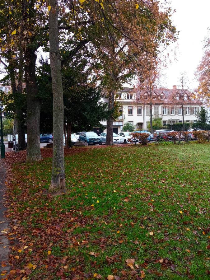 Rare A Colmar - Appartement Champ De Mars Vue Sur Parc - 70M2 - 2 Chambres מראה חיצוני תמונה