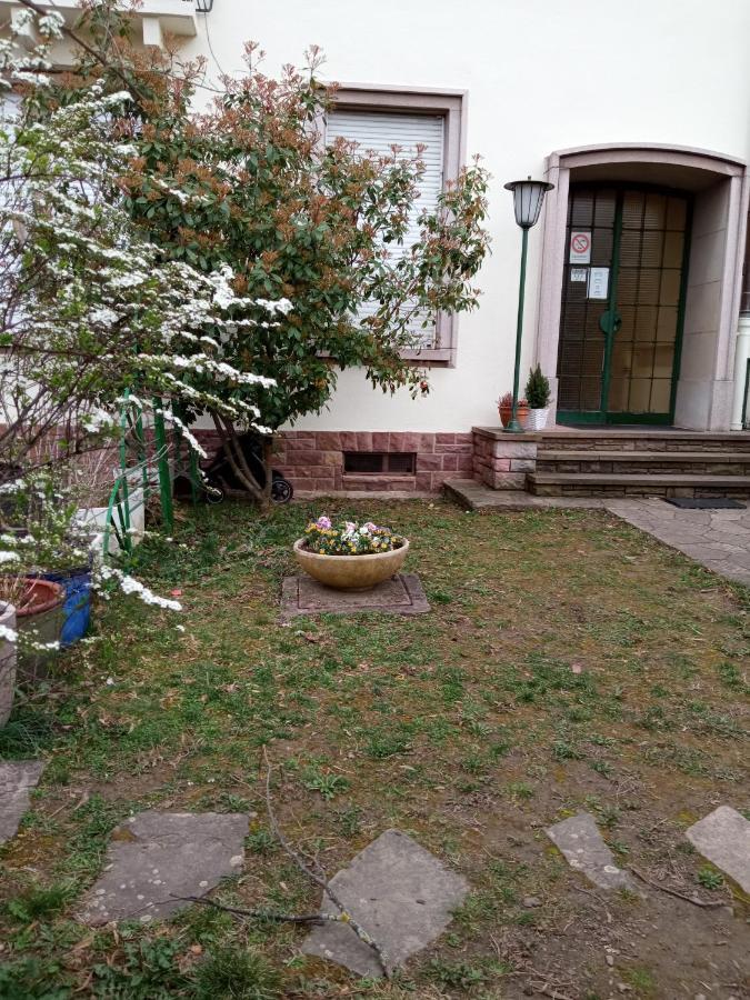 Rare A Colmar - Appartement Champ De Mars Vue Sur Parc - 70M2 - 2 Chambres מראה חיצוני תמונה