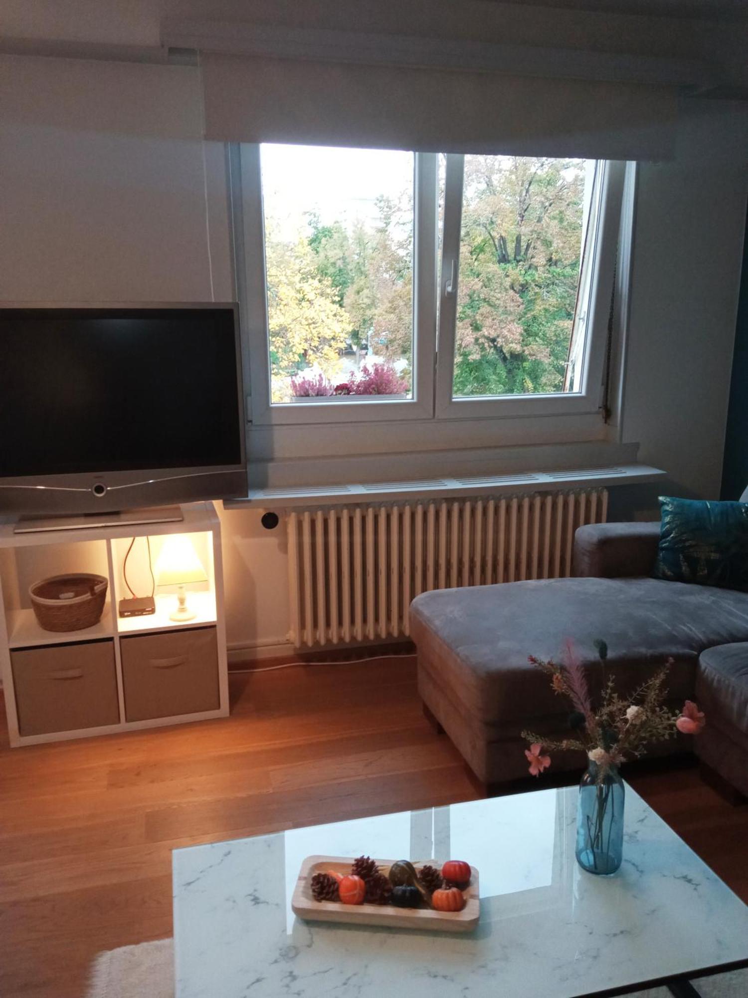 Rare A Colmar - Appartement Champ De Mars Vue Sur Parc - 70M2 - 2 Chambres מראה חיצוני תמונה